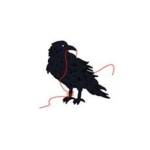 Black Bird Knitting & Needlework