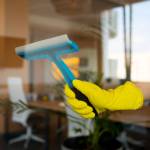 alpinecleaning services