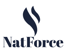 Why Dubai Is the Next Global Hub for Mobile App Development - Natforce Latest News 2021 & 2022 From Across the Worlds