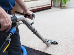 Carpet Cleaners in Sunshine Coast: Professional Services for Fresh and Healthy Homes