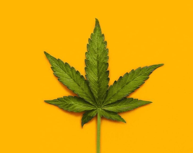 Cannabis Shop Australia | Buy Weed Online Australia - Australia Bud Shop