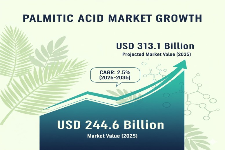 Palmitic Acid Market Set to Reach USD 313.1 Billion by 2035, Paving the Way for Innovation Among Emerging Manufacturers – FMIBlog