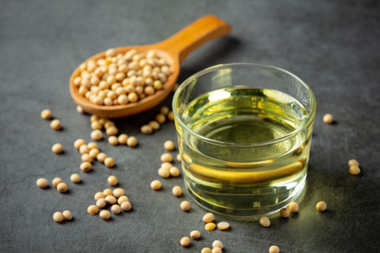 Soy-Based Chemicals Market to Surge to USD 66.1 Billion by 2035, Driven by Sustainability and Innovation – FMIBlog