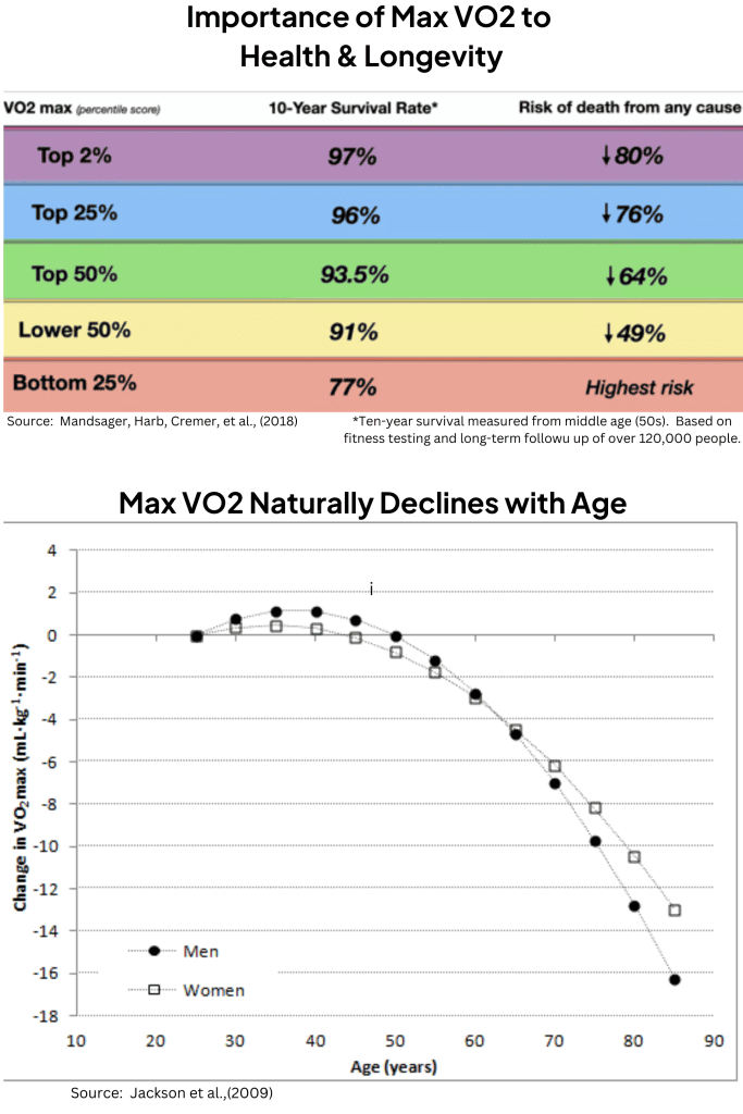 VO2 Max and Cardio Fitness Testing in Farnham
