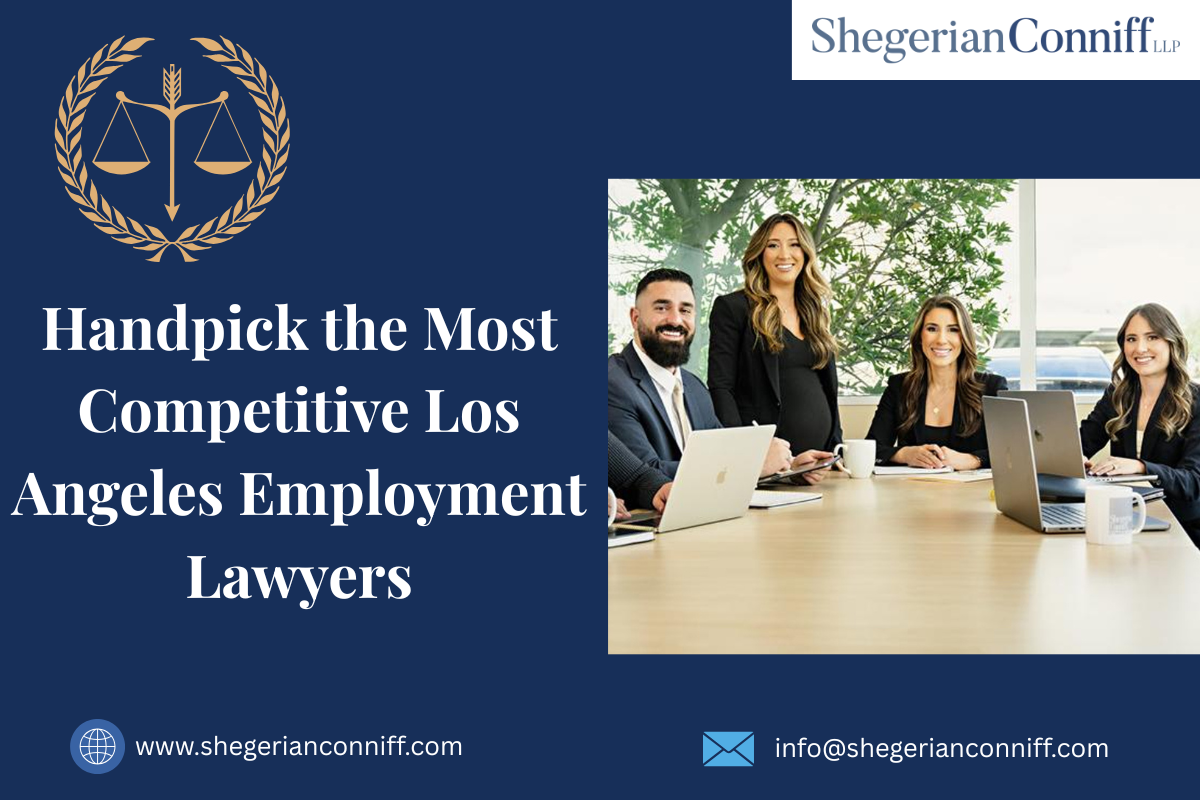 Handpick the Most Competitive Los Angeles Employment Lawyers - Easyfie