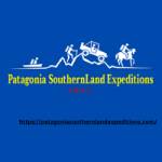 Punihuil Penguin Colony