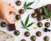 Best 420 Deals Online in USA You Shouldn’t Miss