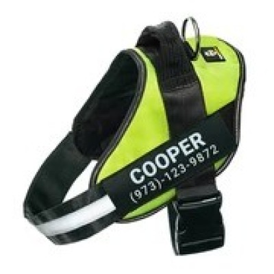 Lifetime Warranty Personalized NO PULL Harness Profile Picture