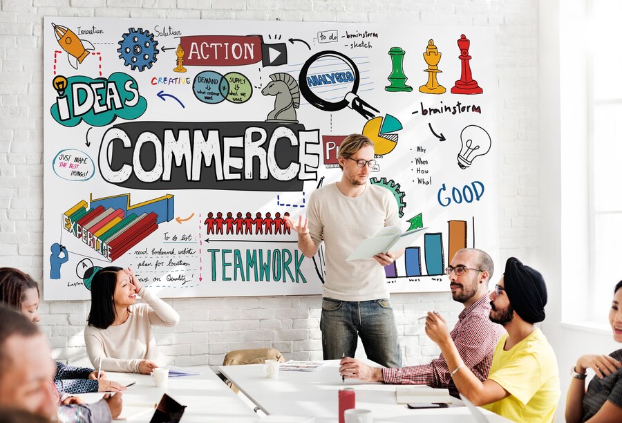 Boost Your ROI with Expert E-commerce Website Development Services in India – Nayra