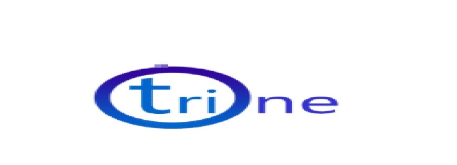 Tri One Management