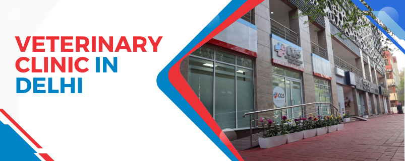 Veterinary Clinic in Delhi | CGS Hospital Sarojini Nagar