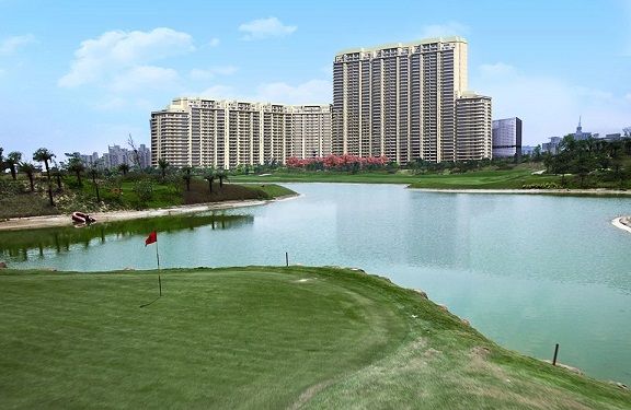 Property in sector 42 Gurgaon