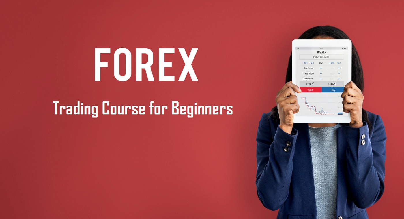 Secure Your Future with a Forex Trading Course for Beginners - marthagodsay
