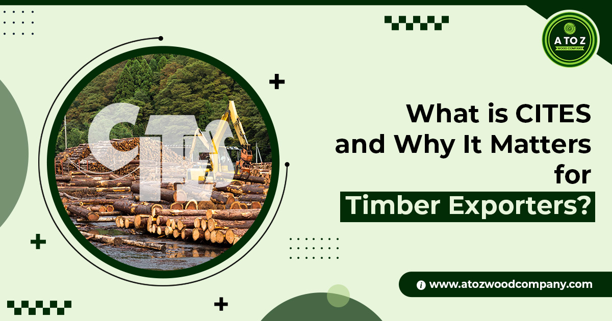 What is CITES and Why It Matters for Timber Exporters?