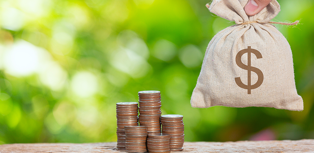 Understanding Loans Based on Financial Need in the USA