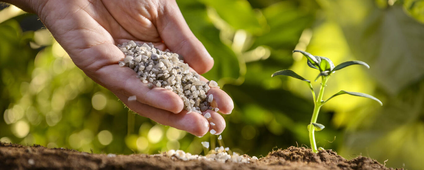 Agricultural Secondary Nutrients Market Poised to Reach USD 64.1 Billion by 2035 | Future Market Insights, Inc. – FMIBlog