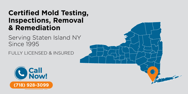 Mold Removal & Remediation Staten Island, NY | Mold Inspection & Testing