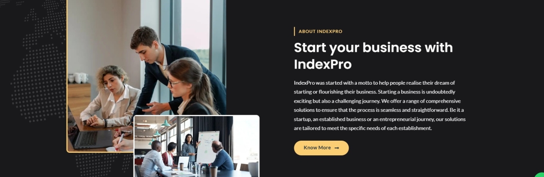 Index Pro