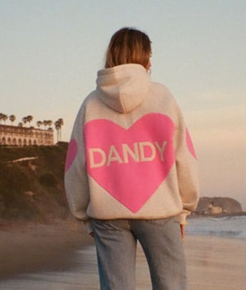 dandy hoodie