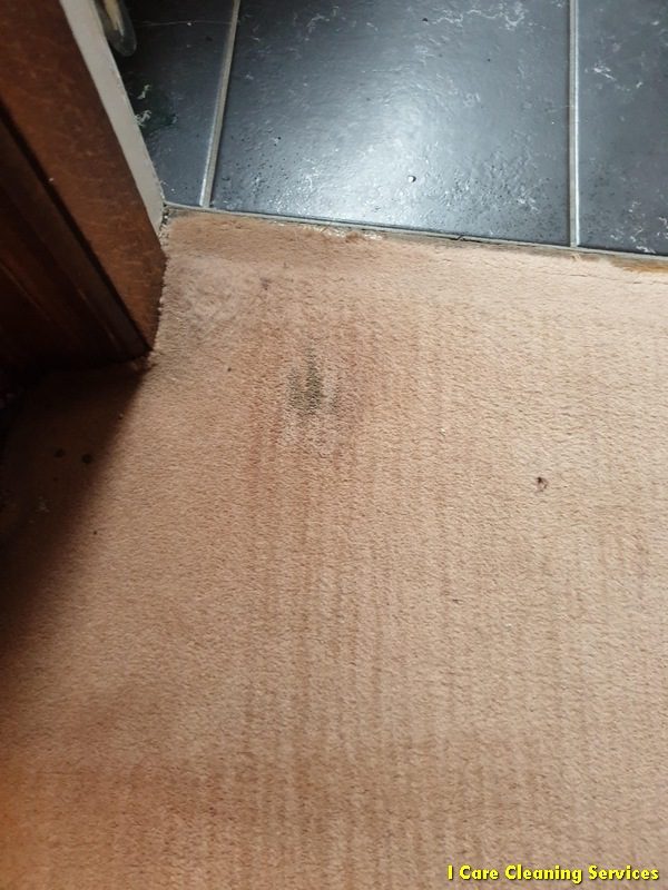 Carpet Cleaning Motherwell | I-Care Cleaning Services