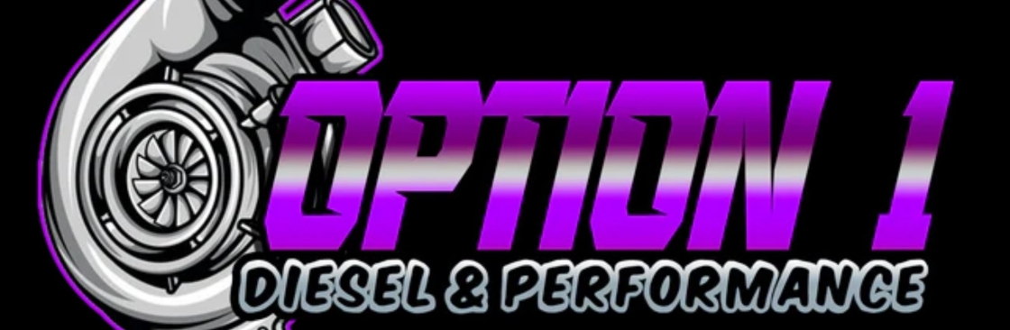 Option 1 diesel and performance