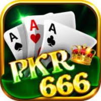 PKR 666 Game |Online Real Earning App| Latest version 2025 - APK USDT