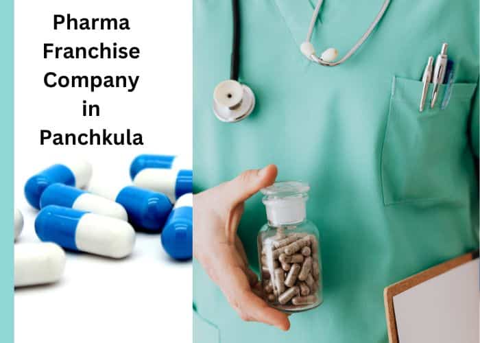 Top 10 PCD Pharma Franchise Companies in Panchkula