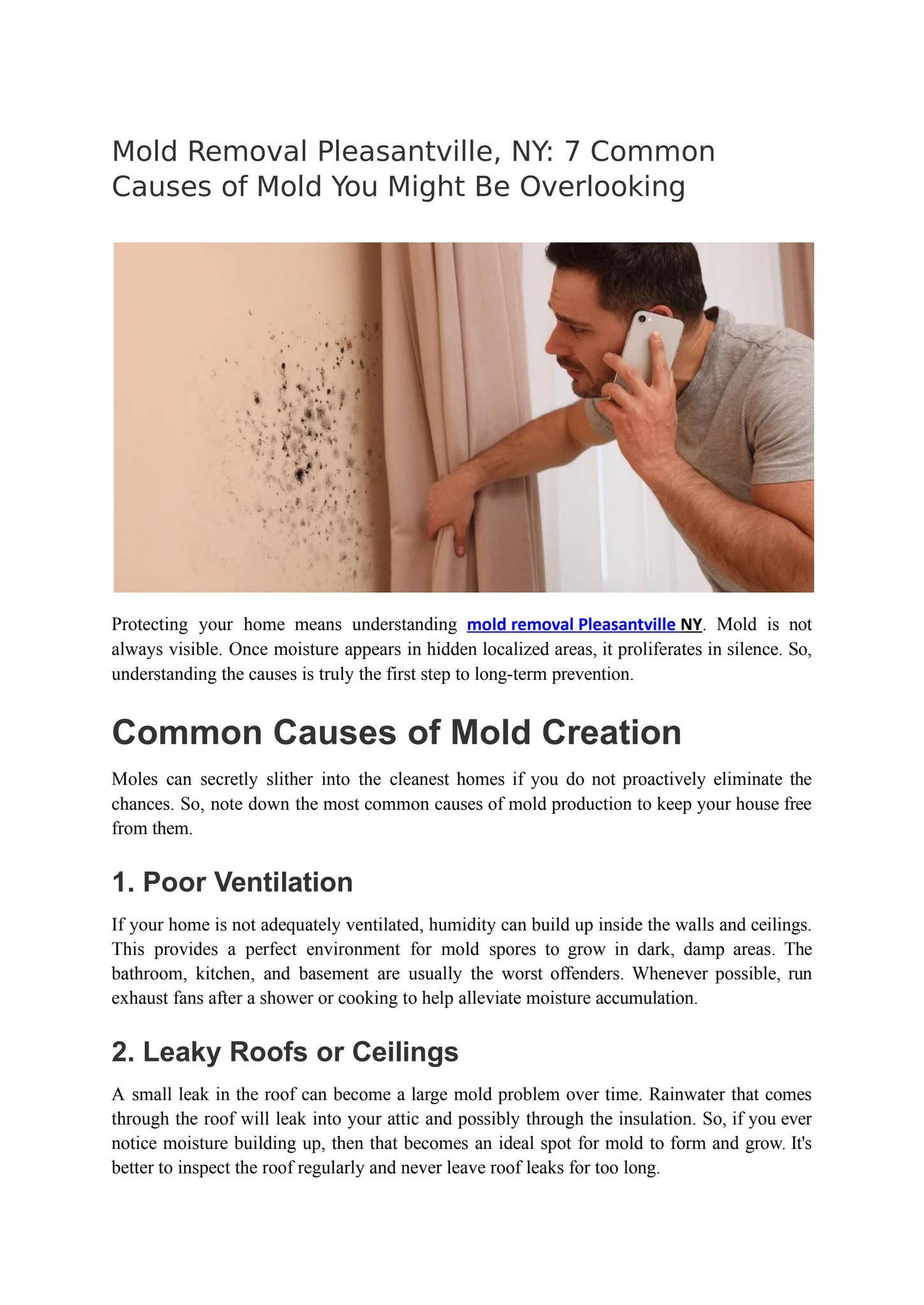 Mold Removal Pleasantville, NY_ 7 Common Causes of Mold You Might Be Overlooking by certifiedmoldremoval.com - Issuu