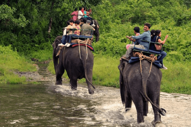 Dooars Tour Package - 4N/5D - At Best Price Guarantee