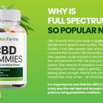 CatherineRileye CatherineRileye