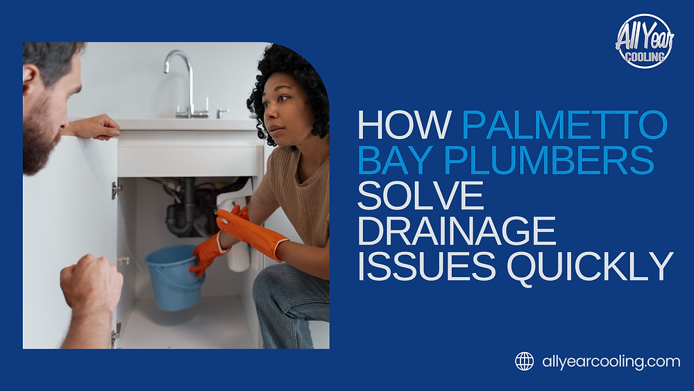 How Palmetto Bay Plumbers Solve Drainage Issues Quickly
