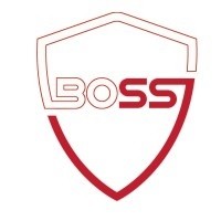 Boss Security