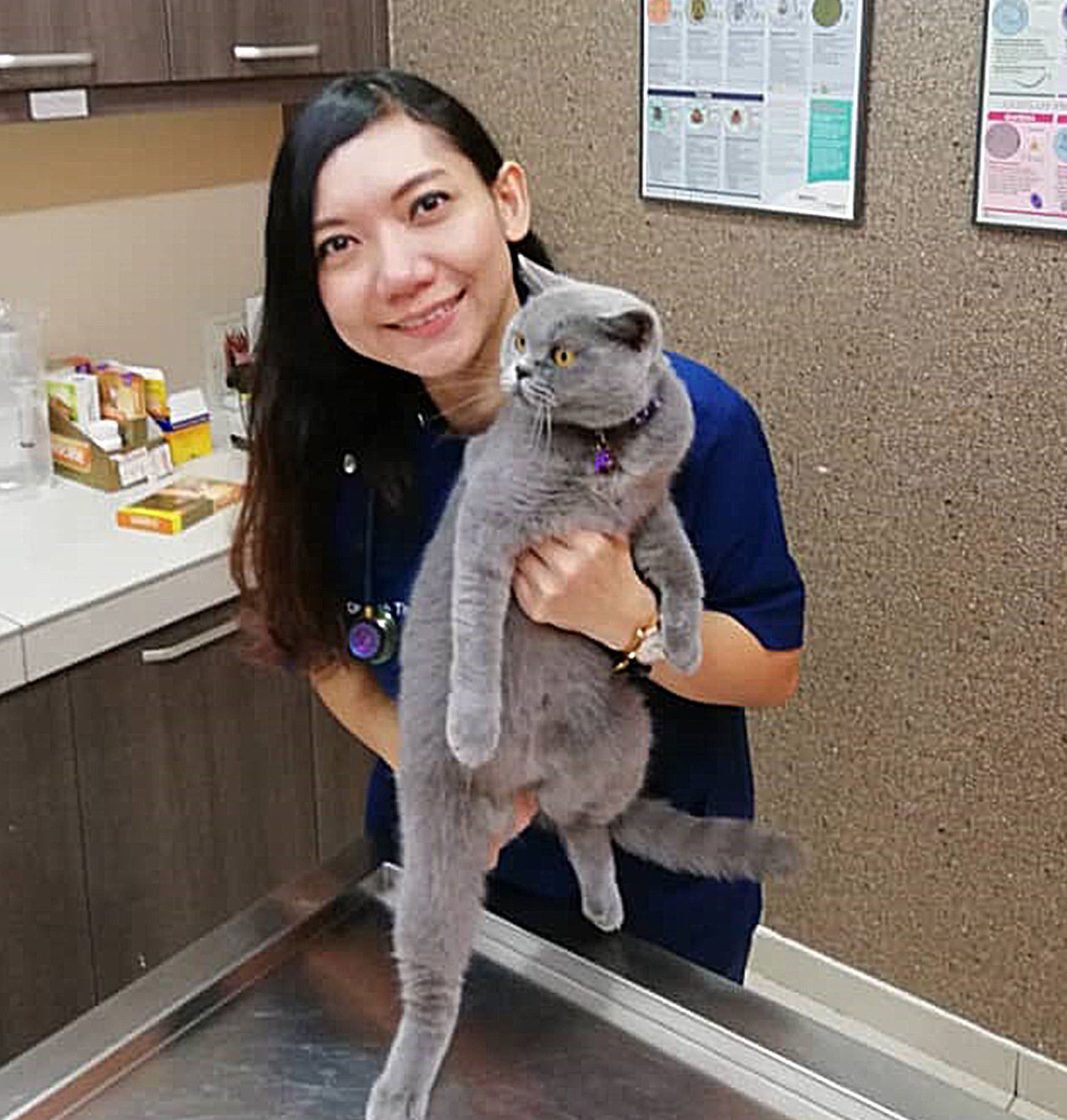 Klinik Veterinar Terbaik Berhampiran Saya di Malaysia