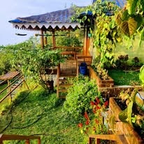 Experience Bliss: Mountain Valley View Rooms in Kodaikanal and the Best Luxury Villas for a Memorable Stay