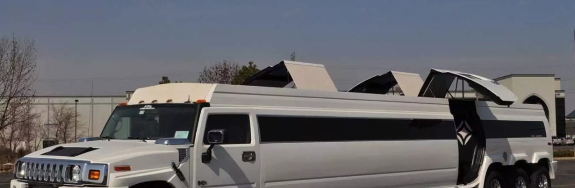 Avital Chicago Limousine And Party Bus