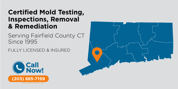Mold Removal & Remediation Fairfield County, CT | Mold Inspection & Testing