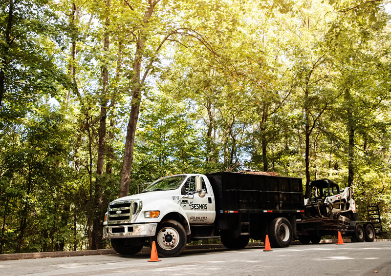 Fully Insured Tree Removal Service Milton, GA | Sesmas Tree Service