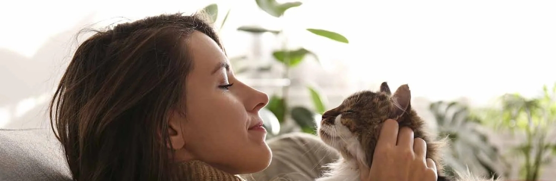 We Love Cats and Kittens