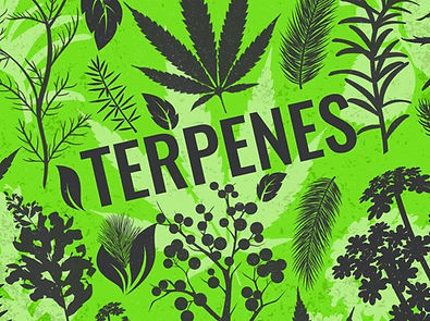 Fenceline Monitoring Software | Industrial Air Quality Monitoring