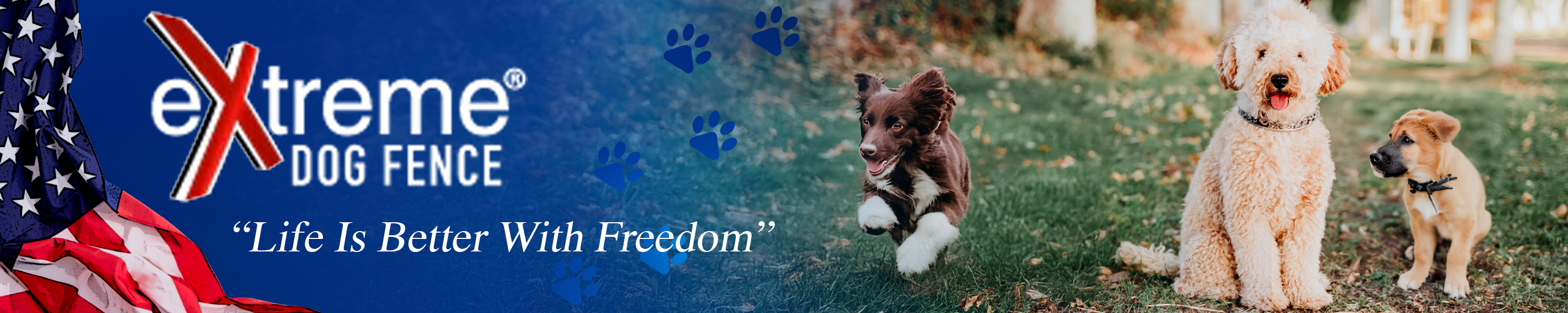 Amazon.com: Extreme Dog Fence