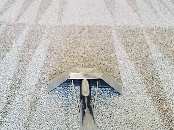 Carpet Cleaning Hornchurch | 21 000+ Positive Reviews
