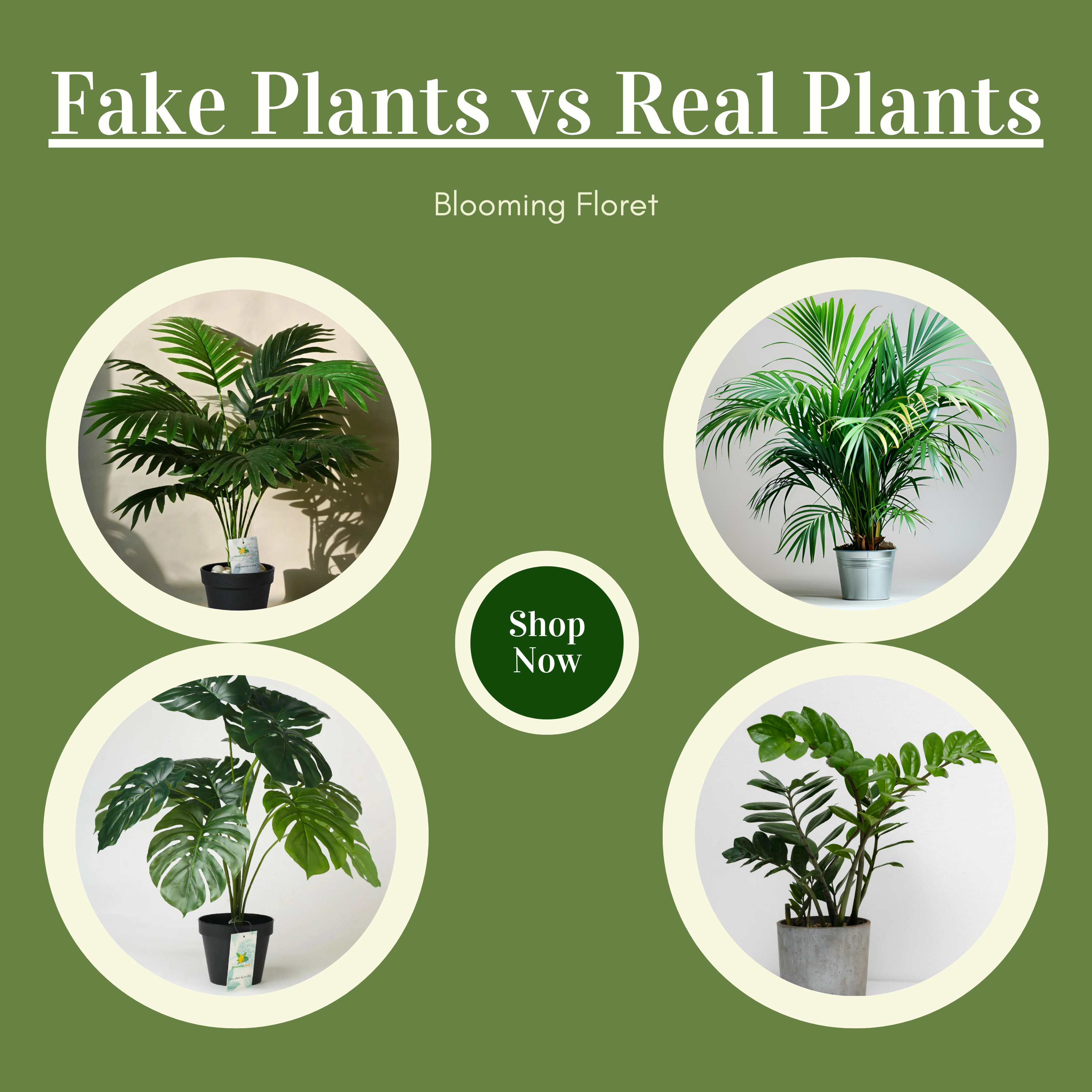 Fake Plants vs Real Plants: Which Is Better for Your Space?