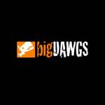 bigDAWGS promotions