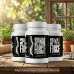 Spinal Force