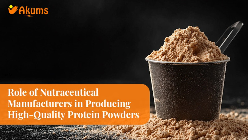 Role of  Nutraceutical  Product Manufacturers in India in Producing High-Quality Protein Powders: ashish12693 — LiveJournal