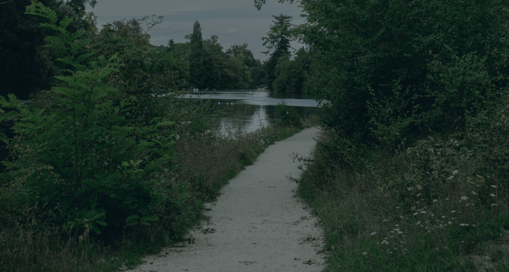 Therapist Near Me | Supporting New Clients Now