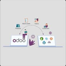 Why Businesses Outgrow DIY ERP and Choose an Odoo Ready Partner