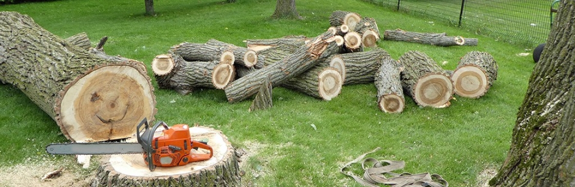 Maldonado Tree Service LLC