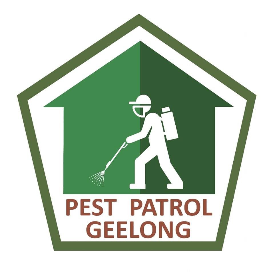 Pest Patrol Geelong