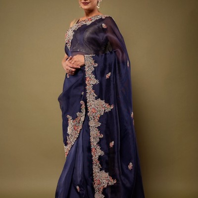 Royal Blue pure organza Dapka Marodi Zardozi border butti handwork saree Profile Picture